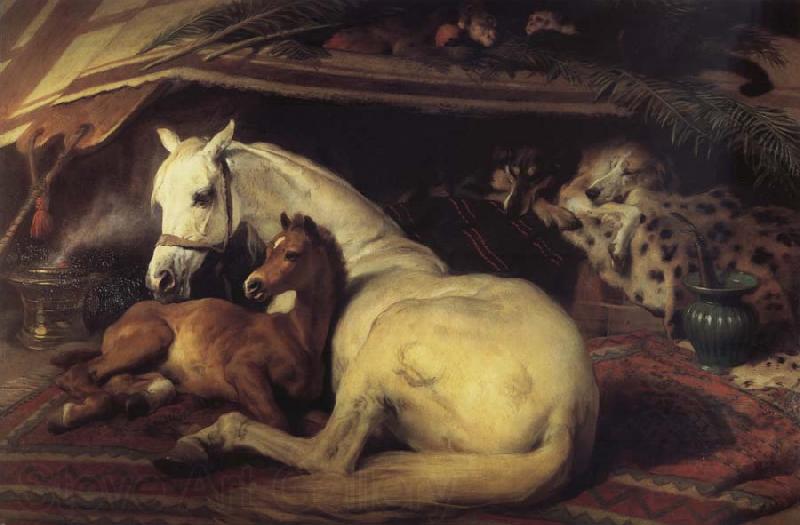 Sir Edwin Landseer The Arab Tent